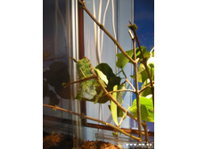 Rotation of DSCN3237