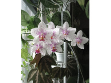 ����������