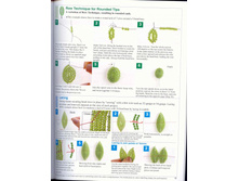 13.10.2009 19:41:02