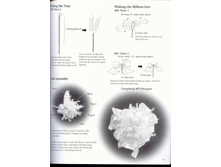 13.10.2009 19:45:55