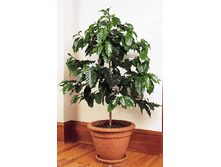 ���� ������� 30/12 110���. 30/13 120���.