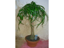 ������ 110/27 1380���. 130/27 2100���. 70/17 700���.