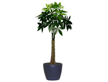 ������ �������� 150/27 1100���. 55/15 365���.