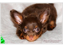 ���������� ���� ������� - 2 ������