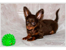 ���������� ���� ������� - 2 ������