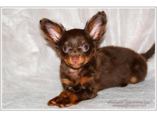 ���������� ���� ������� - 2 ������