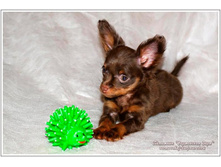 ���������� ���� ������� - 2 ������