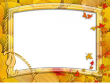 ������������ 5