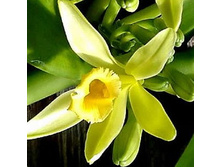 ��������-��������� ������������ 