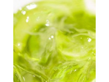 ������ �������� �������!