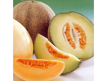 ���� (���� ���, �������� �����)