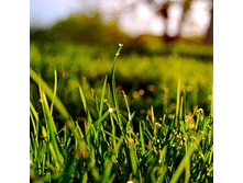 ��������� �����