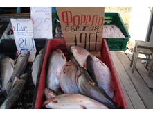 ��������!!!