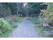 ����� � ����� ������, � ���� ��������. � ��� ����� ������, �� ��� �� ��������!