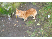 ���� �� �������� �����!