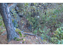 �� ������ �� �����, � �� ���� �������. 