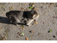 ��������� ������ - �������!)))