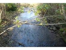 ��������� �����������, ������� �� ��������!