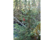 ������ �������)))