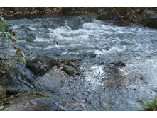 ���� ������!