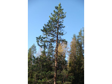 �� ��������� ��� ��, � ��� �����.