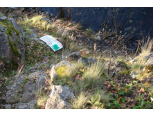 �������� �����, ����� �� ��� �� �����.