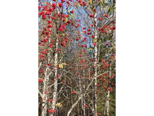 �� ����� ���� �������� �����!