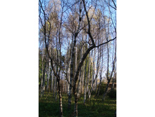 �� ��, ��� �� ������ �����, � ��� ��� - ����������.