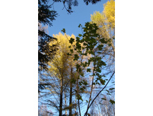 �� �������� ��� ������ ����������� �������� - ���� ��� ������ ���!