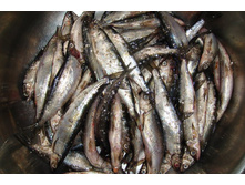 �������!!! �� � ��������������� � ���, ����� �� �������� ����!