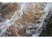 ��������� ���������