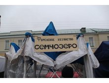 ������� �������