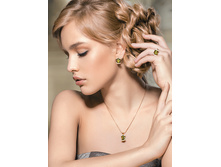 ��������� (cel*ebrite)