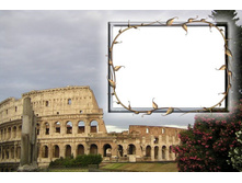 ����������� 3