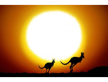 ����������� 3