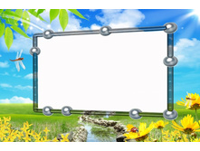 ������ 13