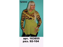 163855 ���������: ޣ���� + ���������