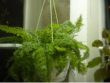 ������������