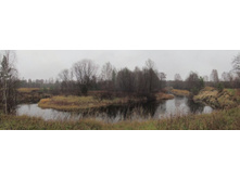 IMG_1788 Panorama.JPG