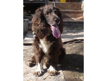 ������ ���!