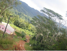 ����-����.� �����