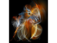 ����� ���� �ϣ�...