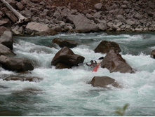 ������ ���� ���� ���������� �������������