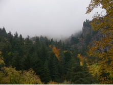 �����. ����������� ������ � ��������� �����.