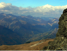 ������ ����