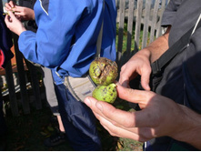 ������� �����