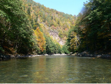 ����� ���� ���� ���������