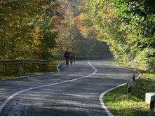 �������� �����... ����� �������