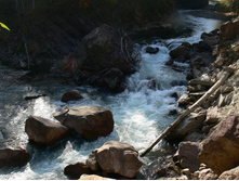 ����-1. �� ���� ��� �������