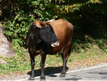 � ������� \"��!\"